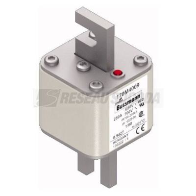  FUSE 250A 690V 1/80 AR UC 