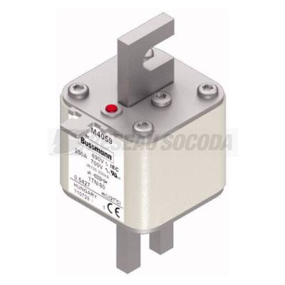  FUSE 250A 690V 1TN/80 AR UC 