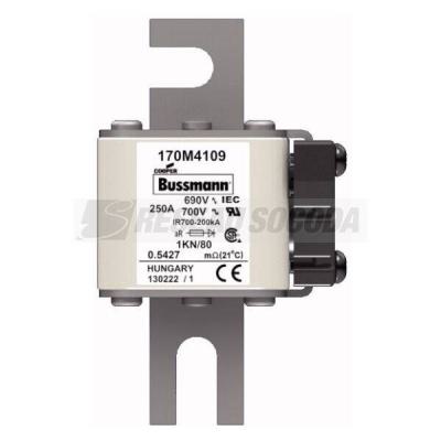 FUSE 250A 690V 1KN/80 AR UC 