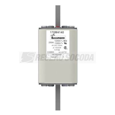  FUSE 250A 1250V 1/110 AR CU 