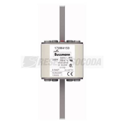  FUSE 250A 690V 1/110 AR UC 