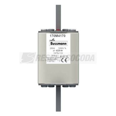  FUSE 250A 1250V 1STN/110 AR 