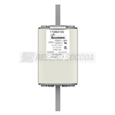  FUSE 250A 1250V 1TN/110 AR CU 