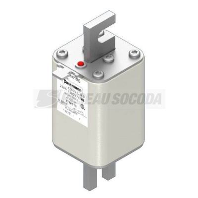  FUSE 250A 1250V 1TN/110 AR CU 