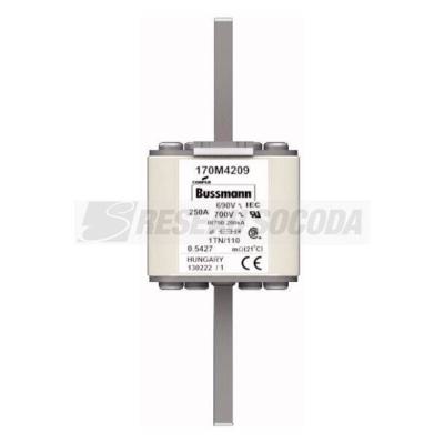  FUSE 250A 690V 1TN/110 AR UC 