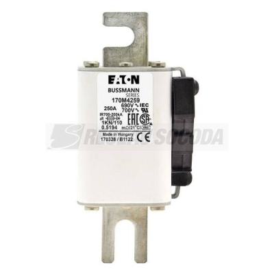  FUSE 250A 690V 1KN/110 AR UC 