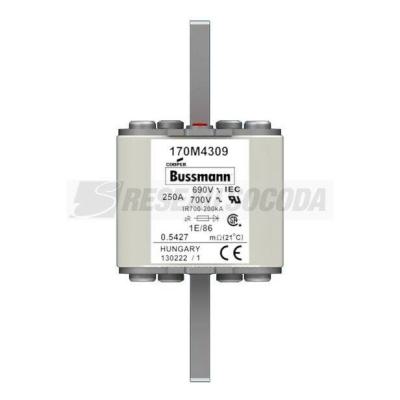  FUSE 250A 690V 1E/86 AR UC 