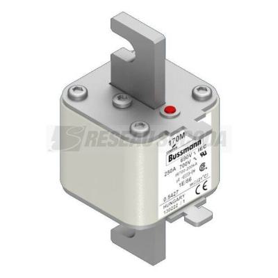  FUSE 250A 690V 1E/86 AR UC 