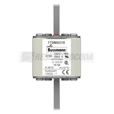  FUSE 315A 690V 1E/86 AR UC 