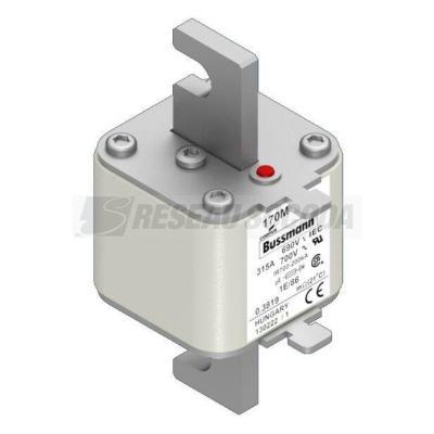  FUSE 315A 690V 1E/86 AR UC 