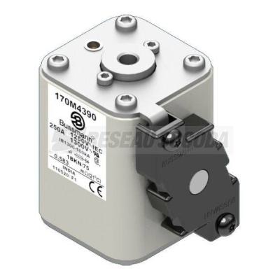  FUSE 250A 1250V 1BKN/75 AR CU 