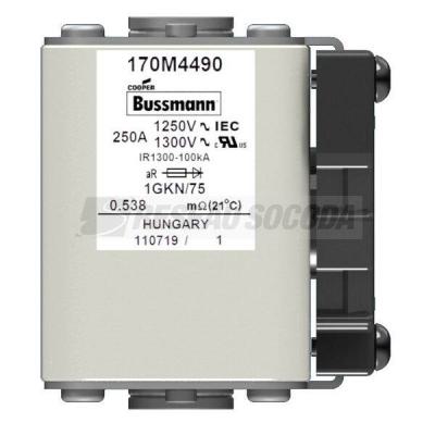  FUSE 250A 1250V 1GKN/75 AR CU 