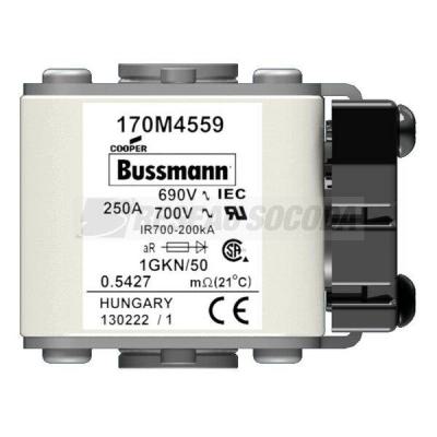  FUSE 250A 690V 1GKN/50 AR UC 