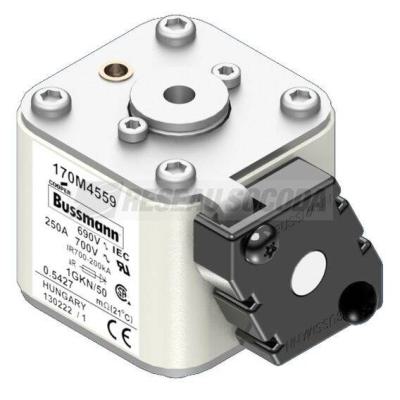  FUSE 250A 690V 1GKN/50 AR UC 