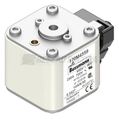  FUSE 250A 690V 1GKN/50 AR UC 