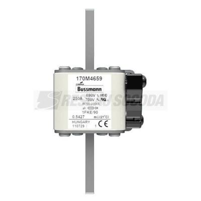  FUSE 250A 690V 1FKE/90 AR UC 
