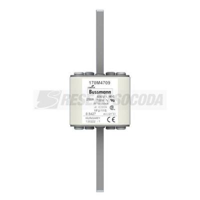  FUSE 250A 690V 1FU/115 AR UC 