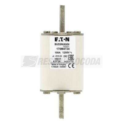  FUSE 100A 1250V 1SHT AR 