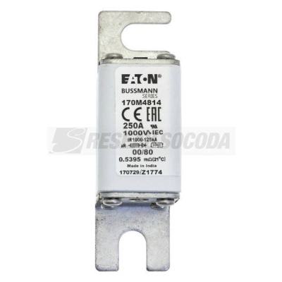 FUSE 250A 1000V 00/80 AR 