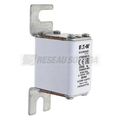  FUSE 250A 1000V 00/80 AR 