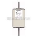  FUSE 250A 1000V 1TN/110 AR 