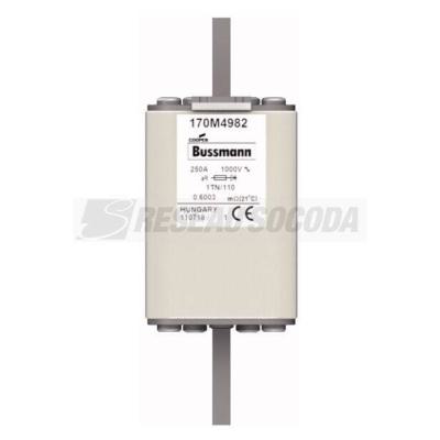  FUSE 250A 1000V 1TN/110 AR 