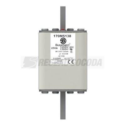  FUSE 250A 1250V 2/110 AR CU 