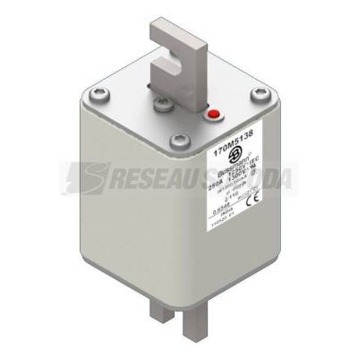  FUSE 250A 1250V 2/110 AR CU 