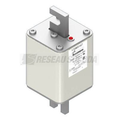  FUSE 700A 1250V 2/110 AR CU 