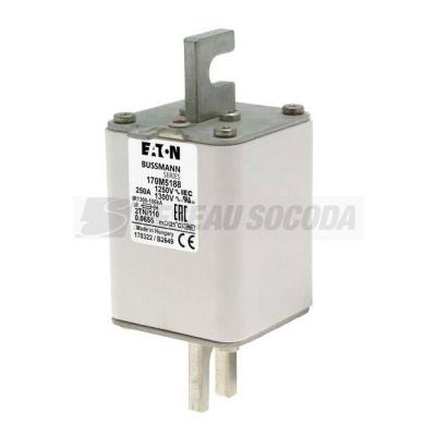  FUSE 250A 1250V 2TN/110 AR CU 