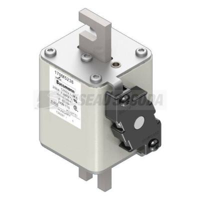  FUSE 250A 1250V 2KN/110 AR CU 