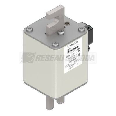  FUSE 250A 1250V 2KN/110 AR CU 