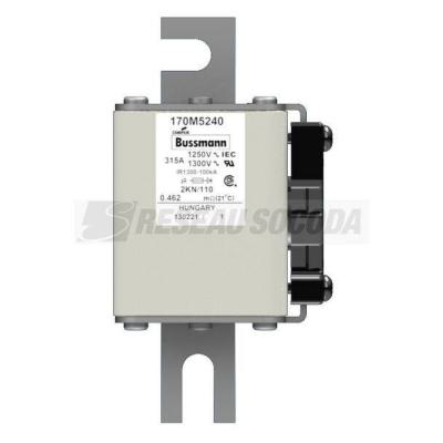  FUSE 315A 1250V 2KN/110 AR CU 