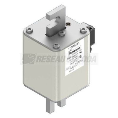  FUSE 550A 1250V 2KN/110 AR CU 