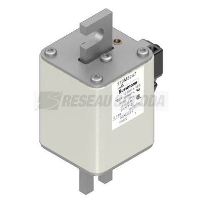  FUSE 700A 1250V 2KN/110 AR CU 