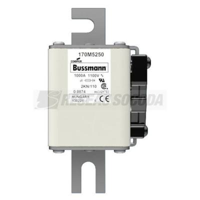  FUSE 1000A 1100V 2KN/110 AR 