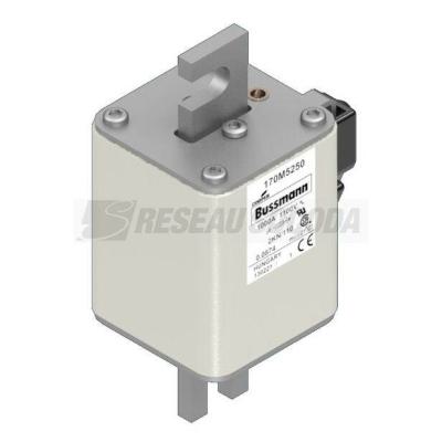  FUSE 1000A 1100V 2KN/110 AR 