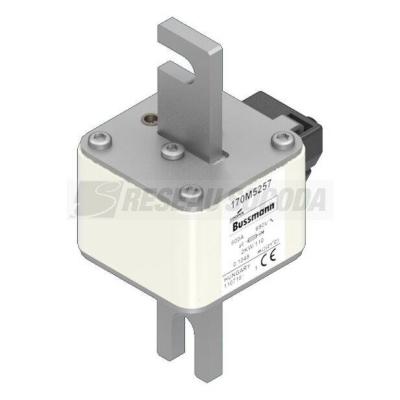  FUSE 800A 690V 2KW/110 AR 