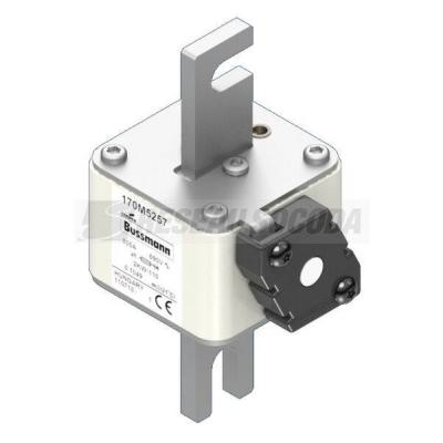  FUSE 800A 690V 2KW/110 AR 