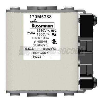  FUSE 250A 1250V 2BKN/75 AR CU 