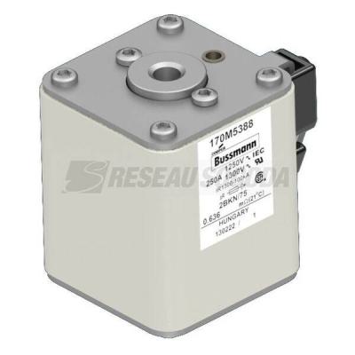  FUSE 250A 1250V 2BKN/75 AR CU 