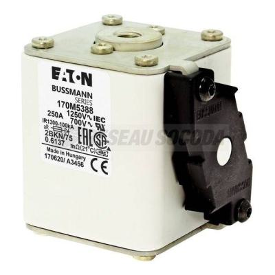 FUSE 280A 1250V 2BKN/75 AR CU 