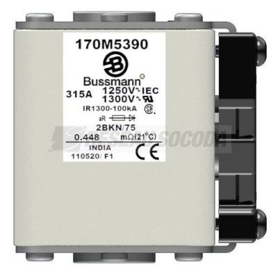  FUSE 315A 1250V 2BKN/75 AR CU 