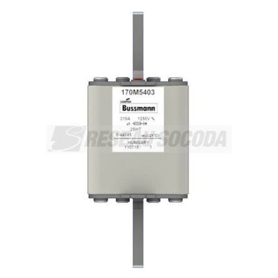  FUSE 315A 1250V 2SHT AR 