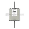  FUSE 450A 1250V 2SHT AR 