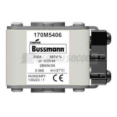 FUSE 250A 660V 2BKN/50 AR 
