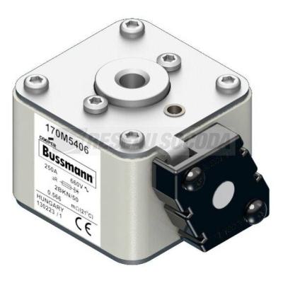  FUSE 250A 660V 2BKN/50 AR 