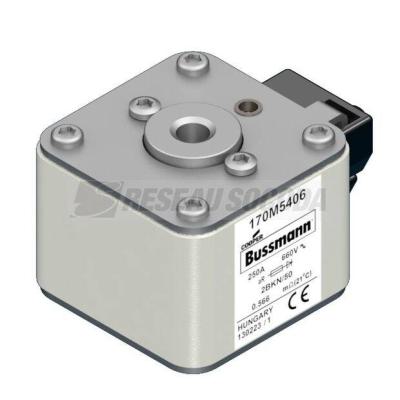  FUSE 250A 660V 2BKN/50 AR 