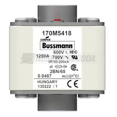  FUSE 1250A 600V 2BN/65 AR UC 