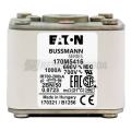  FUSE 250A 1250V 2BKN/80 AR CU 